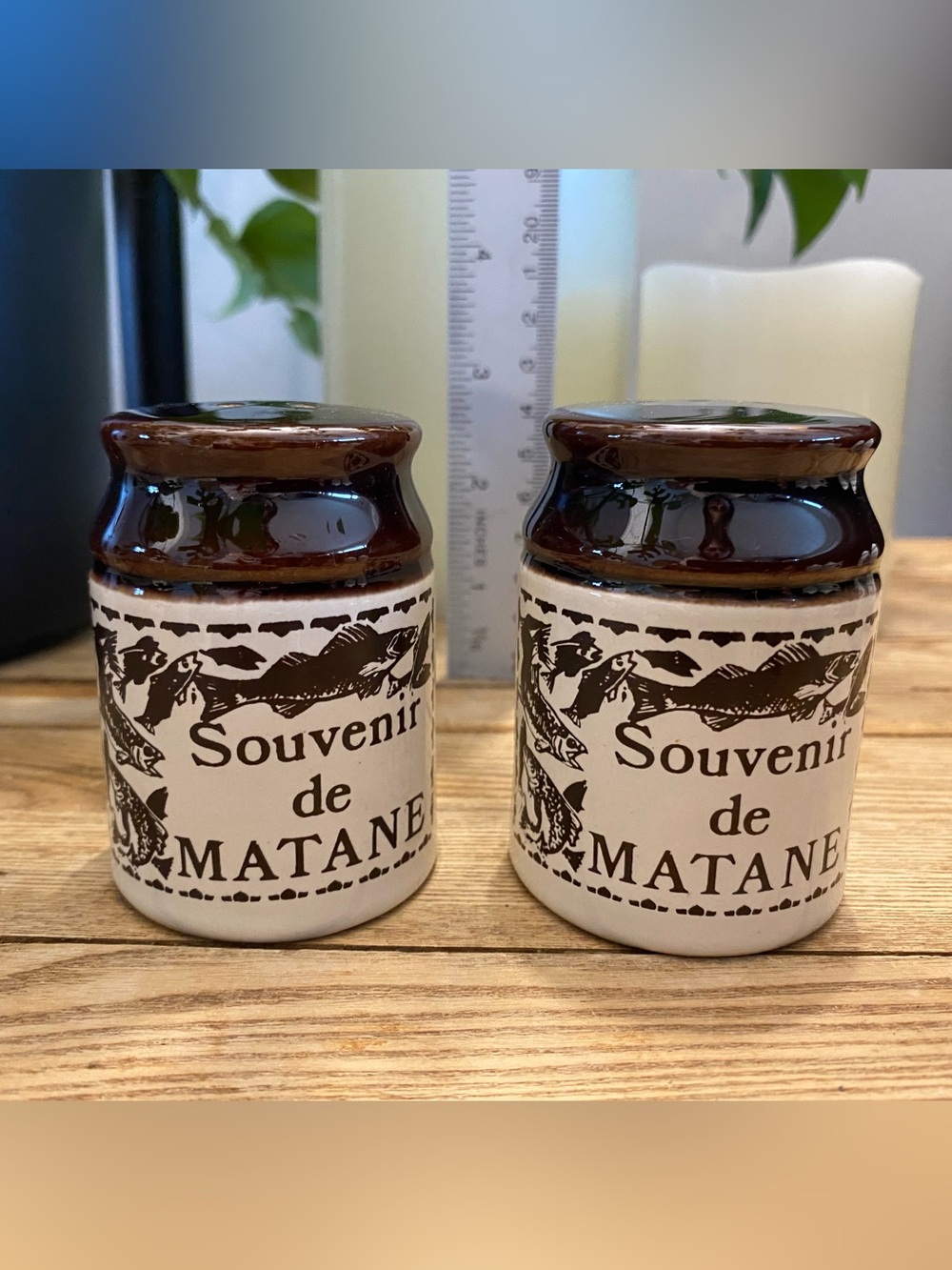 Vintage Souvenir de Matane Quebec Ceramic Crock Salt & Pepper Shakers -